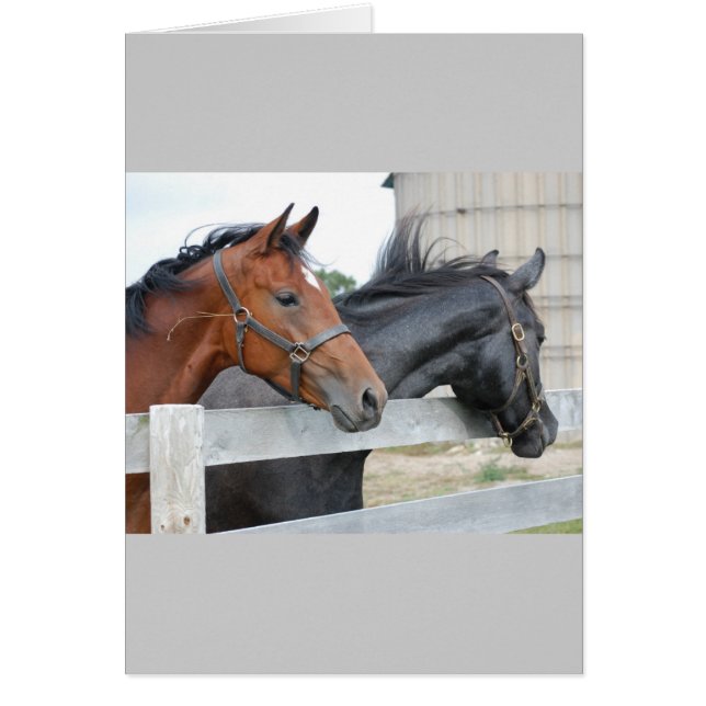 Cartão Os Cavalos Amantes (Frente)