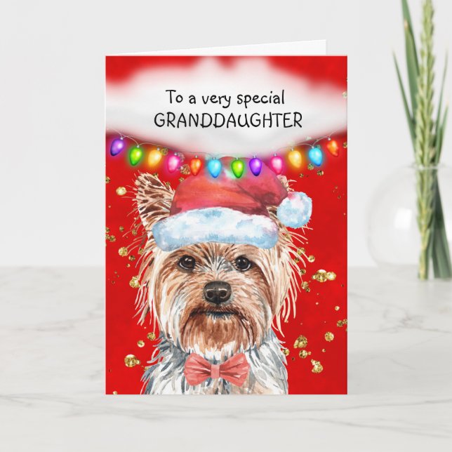 Cartão Os desejos da linda neta Yorkshire terrier Xmas (Frente)