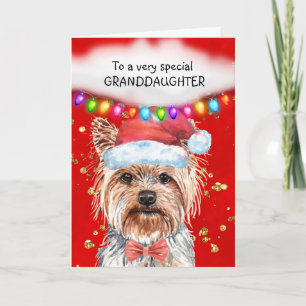 Cartão Os desejos da linda neta Yorkshire terrier Xmas