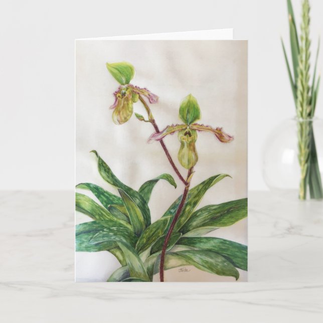 Cartão Os envelopes brancos das orquídeas (5" x 7") (Frente)