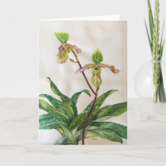 Cartão Os envelopes brancos das orquídeas (5" x 7")