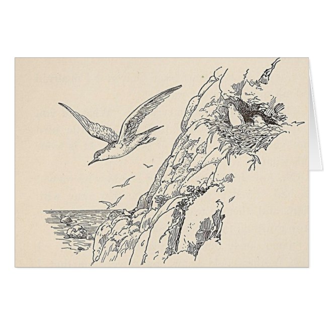 Cartão Os Gaivotas Marítimos (Frente Horizontal)