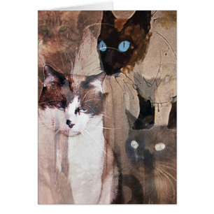 Cartão Os gatos