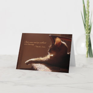 Cartão Os gatos vêm e vão