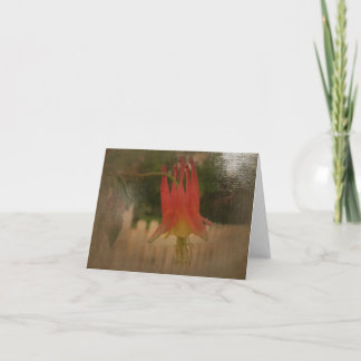 Cartão Os jardins novos Notecard do dia PODEM A aquilégia