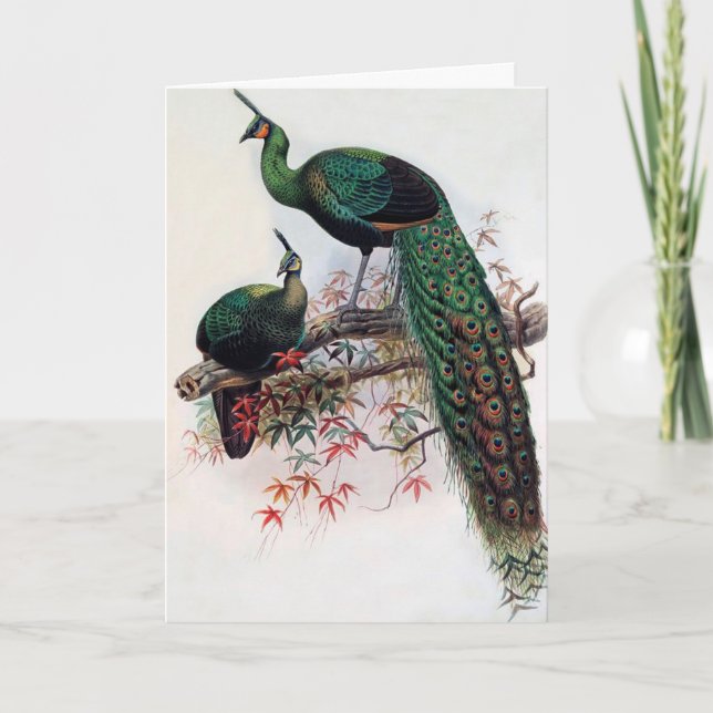 Cartão Os melhores votos, amigos, família, Peacock (Frente)