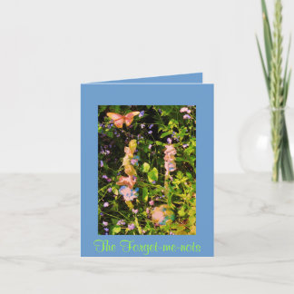 Cartão Os miosótis