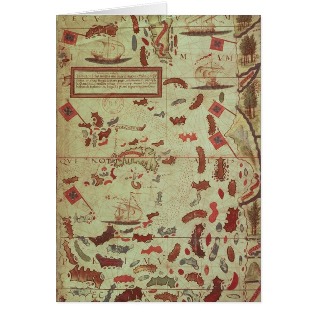 Cartão Os Molucanos (Frente)