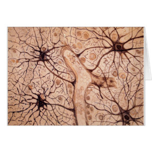 Cartão Os neurônios 3 de Cajal