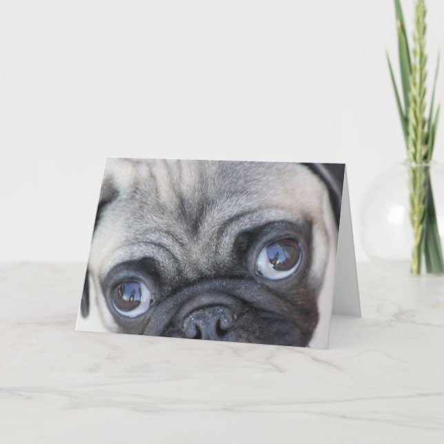 Cartão Os olhos de Doobie (Frente)