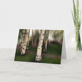 Cartão Os Olhos do Aspen estão sobre nós