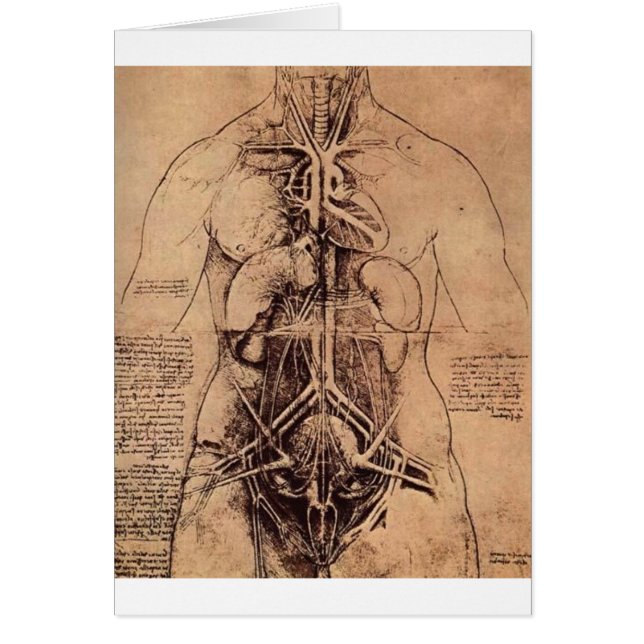 Cartão Os órgãos do princípio e vascular e Urino-Genita (Frente)