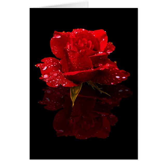 CARTÃO OS PINGOS DE CHUVA EM AUMENTARAM (Frente)