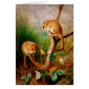 Cartão Os ratos são agradáveis