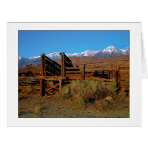 Cartão Os "rebanhos animais Chute "