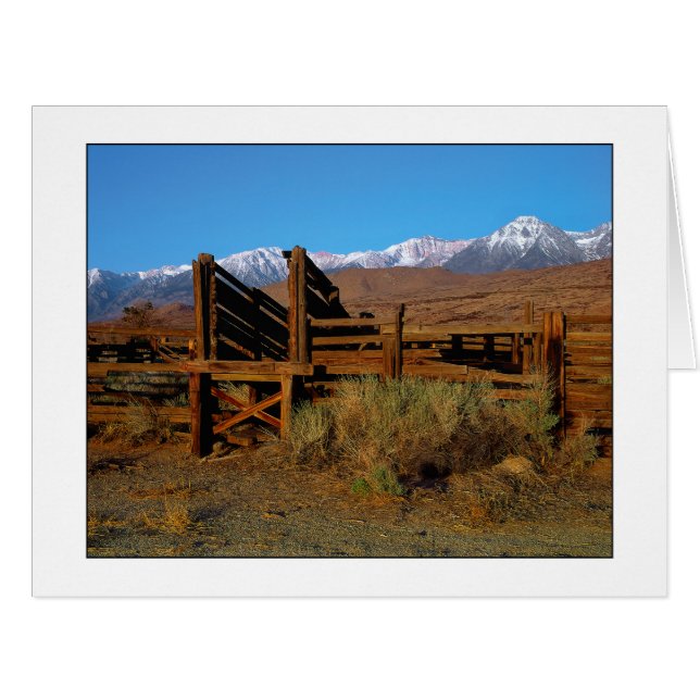 Cartão Os "rebanhos animais Chute " (Frente horizontal)