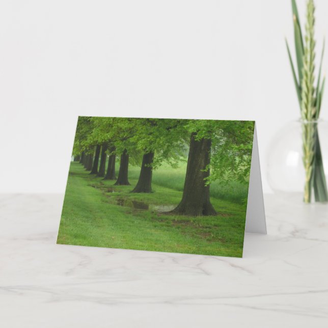 Cartão Os Sentinelas (Frente)