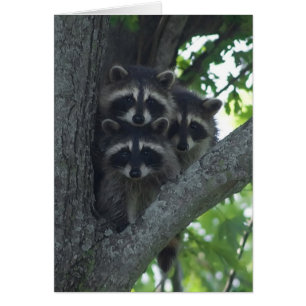 Cartão Os três amigo