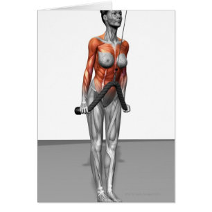 Cartão Os Triceps empurram penas