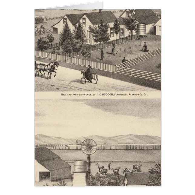 Cartão Osgood, residências de Cameron, fazendas (Frente)
