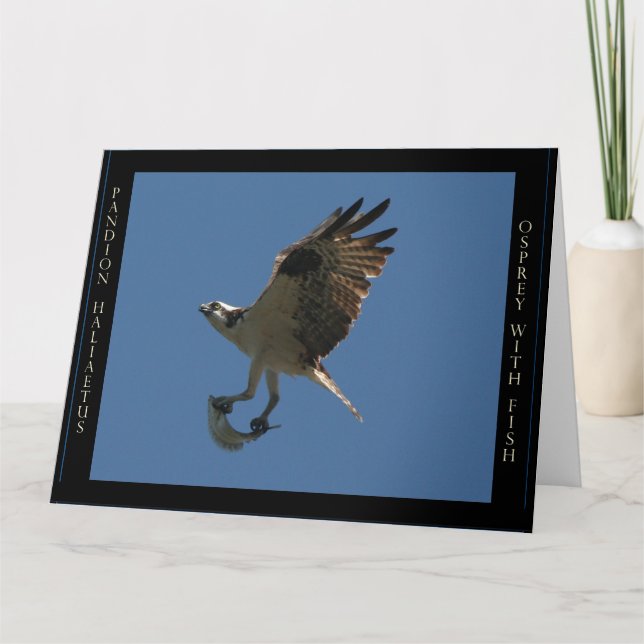Cartão Osprey Bird & Fish Birthday Greeting Card (Frente)