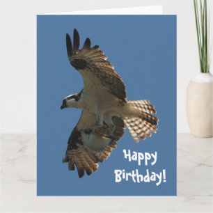 Cartão Osprey Bird & Fish Birthday Greeting Card