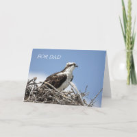 Osprey Father's Day