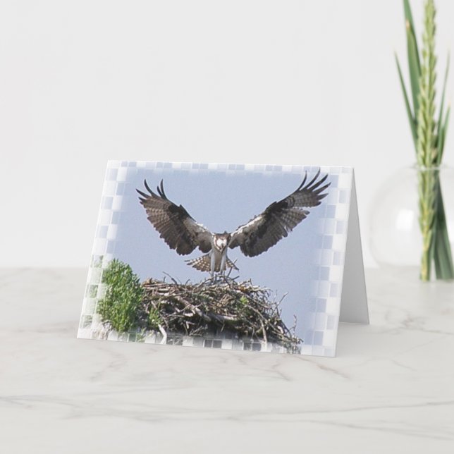 Cartão Osprey Nest Greeting Card (Frente)