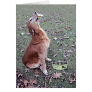 Cartão Osso Appetit