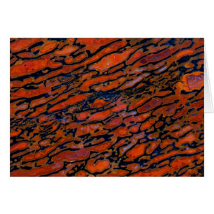 Cartão Osso do dinossauro Vermelho Petrificado