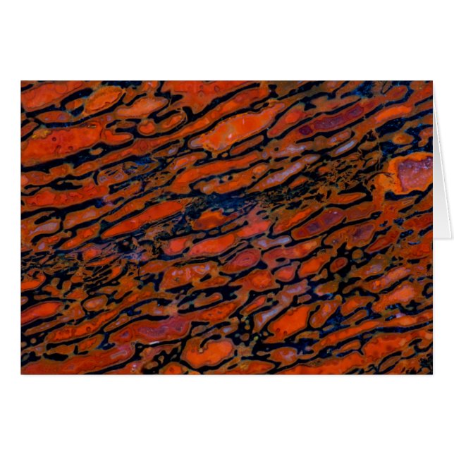 Cartão Osso do dinossauro Vermelho Petrificado (Frente Horizontal)