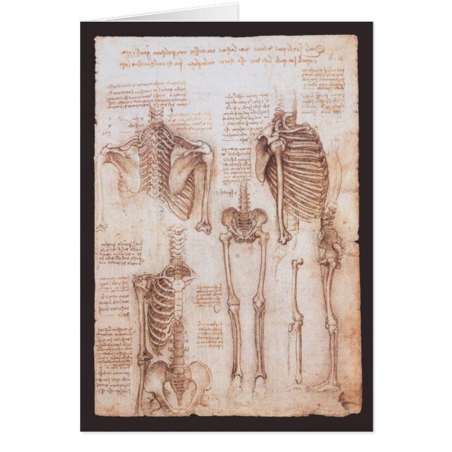 Cartão Ossos do Esqueleto da Anatomia Humana de Leonardo  (Frente)