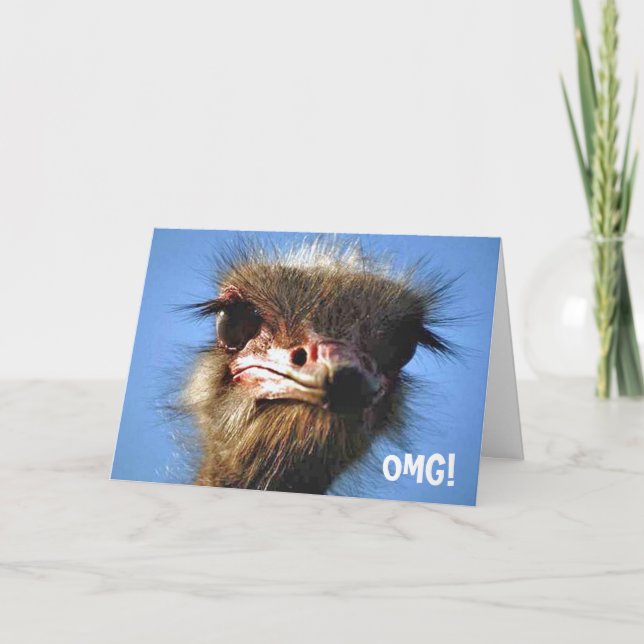 Cartão Ostrich Birthday Card (Frente)