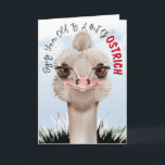 Cartão Ostrich Pun Funny Birthday<br><div class="desc">Os Ostrich Puns São Muito Divertidos.</div>