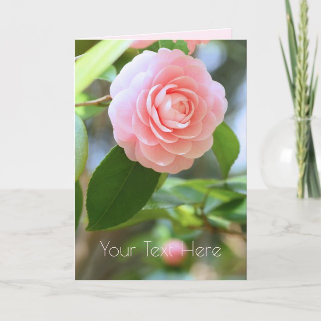 Cartão Otome-tsubaki: Camellia [Greeting Card] (Frente)