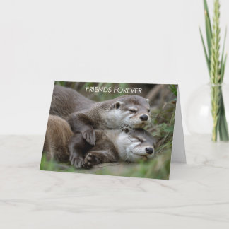 Cartão Otter Friends Forever Friendship