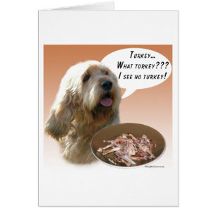 Cartão Otterhound Turquia