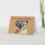 CARTÃO "OUR BIRTHDAY" IS HERE! HOPE IT'S PURR-FECT<br><div class="desc">If YOU SHARE A BIRTHDAY - send this cute and PURR-FECTLY fun card to that special someone today :) "GREAT" "TWIN" CARD AS WELL!!!!!!</div>