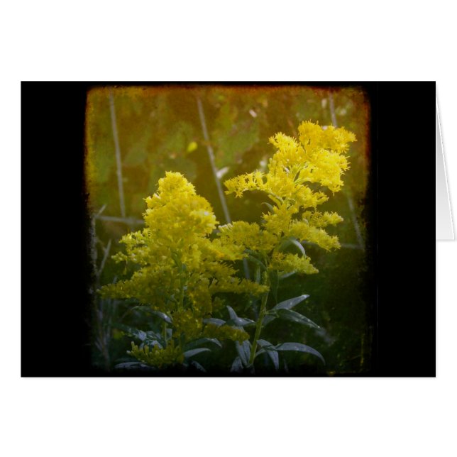 CARTÃO OURO 2 (Frente Horizontal)