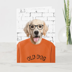 Cartão ouro de aniversário em camiseta laranja