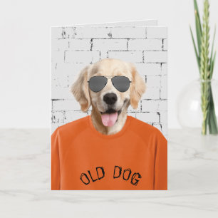 Cartão ouro de aniversário em camiseta laranja