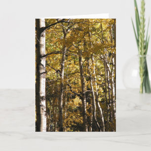 Cartão Ouro de Aspen