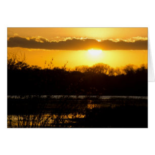 Cartão Ouro do pantanal