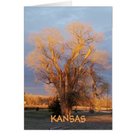 Cartão Ouro Kansas State Tree - Algodão