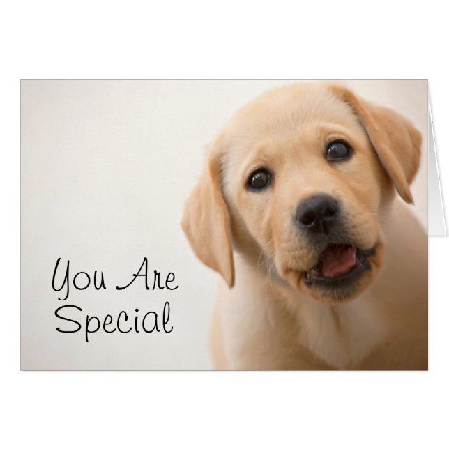 Cartão Ouro Labrador Puppy (Frente Horizontal)