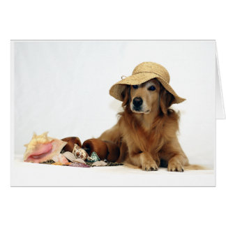 Cartão Ouro na praia