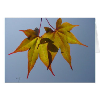 Cartão Ouro natural