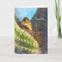 Ouro Orange California Poppy "Land Of Orange"