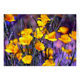 Cartão Ouro Poppy