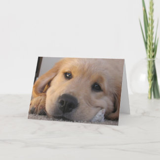 Cartão Ouro Puppy Miss You Card